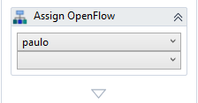 images/openrpa_assign_openflow.png